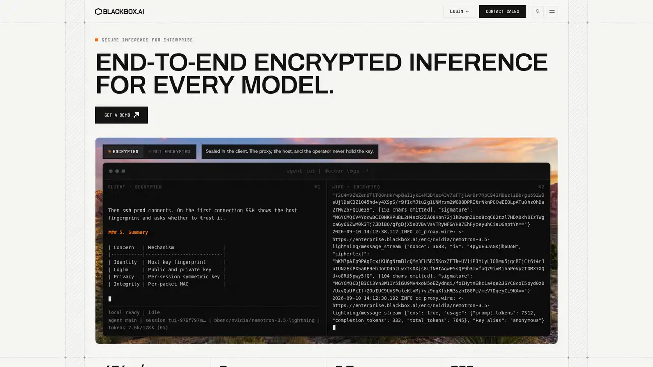 Blackbox AI website screenshot