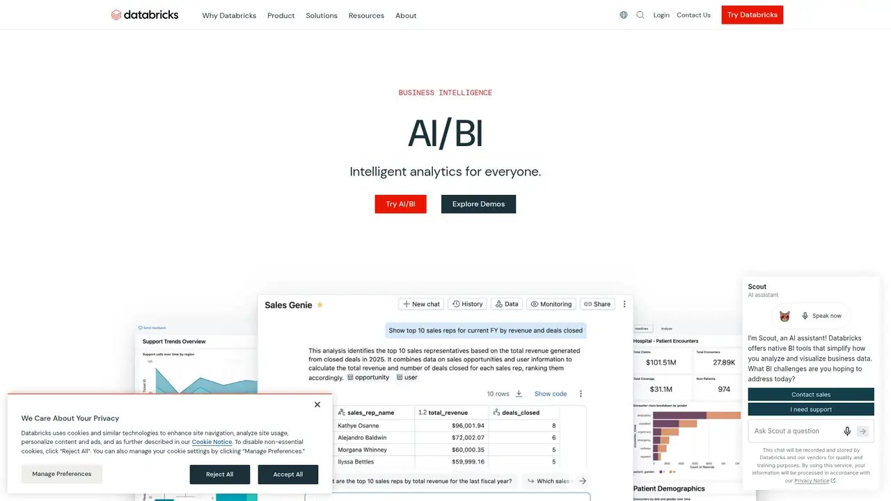 Databricks AI/BI Genie website screenshot