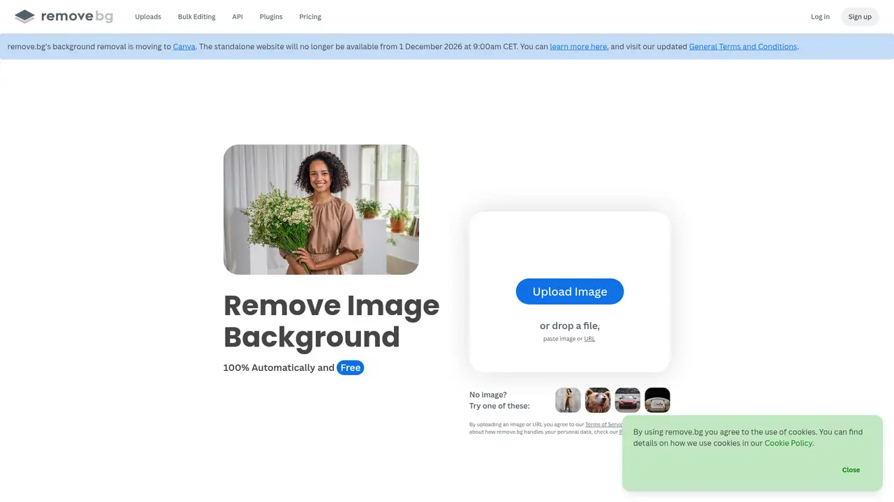 remove.bg website screenshot