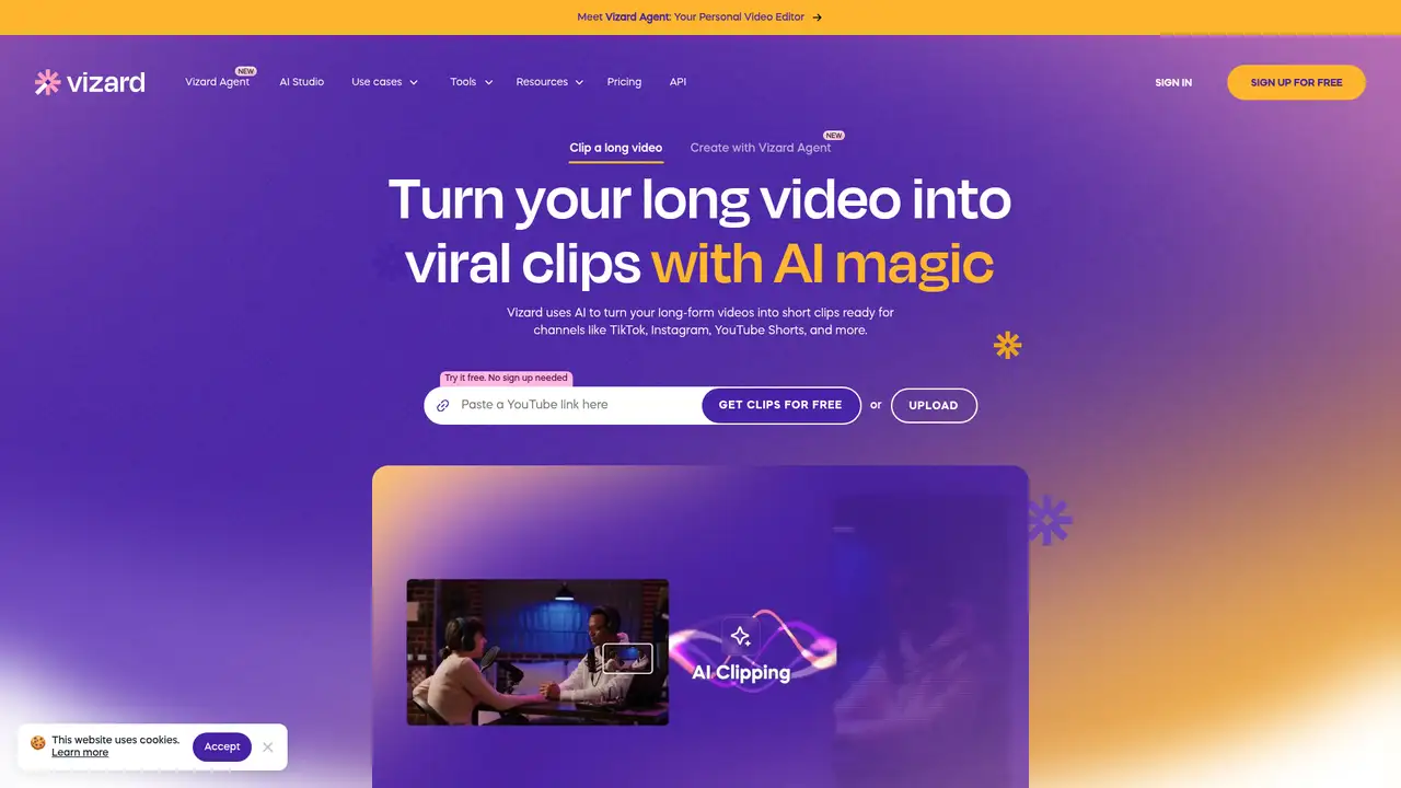 Vizard website screenshot