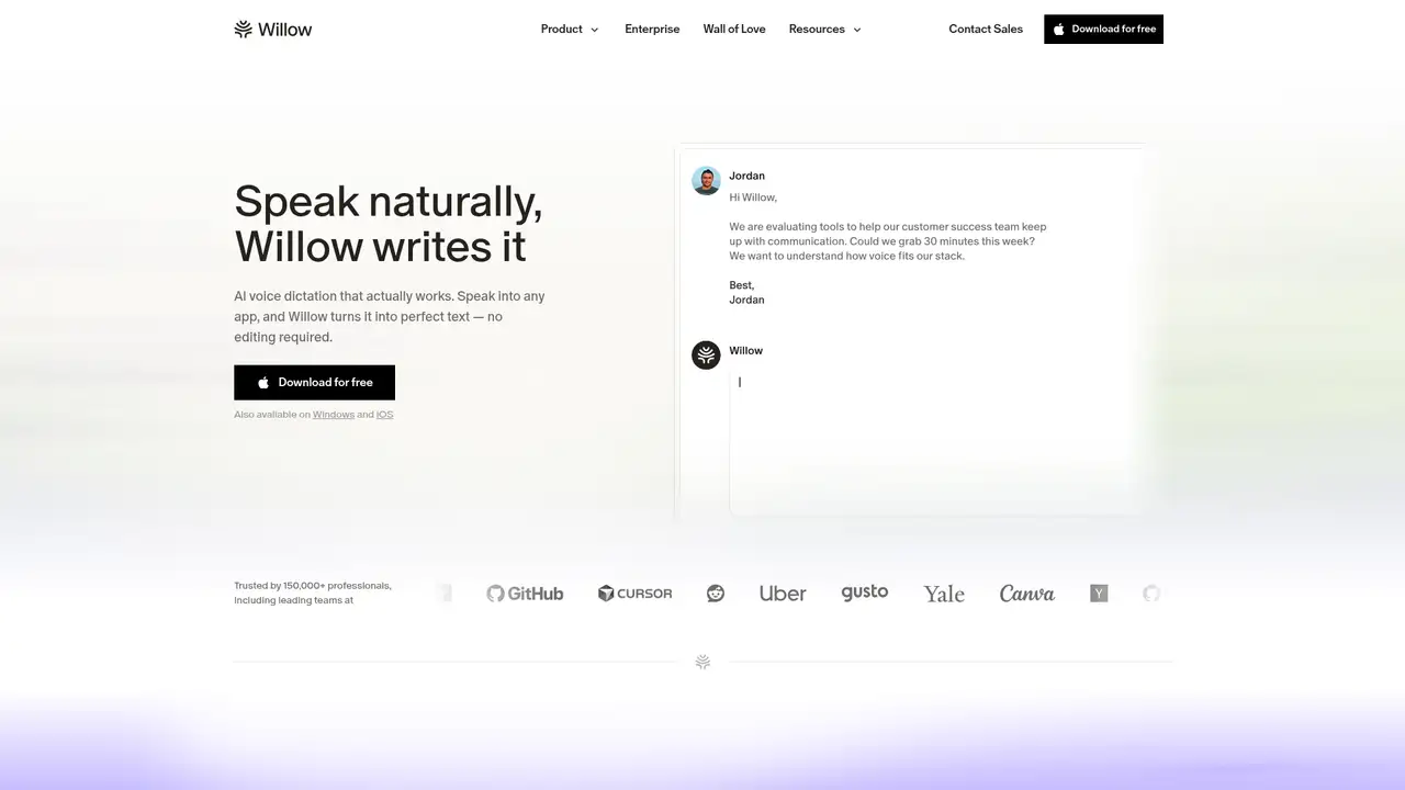 Willow Voice website screenshot